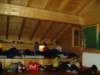 p1010100_small.jpg