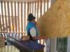 dscf1418_small.jpg