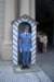 cimg2693_small.jpg